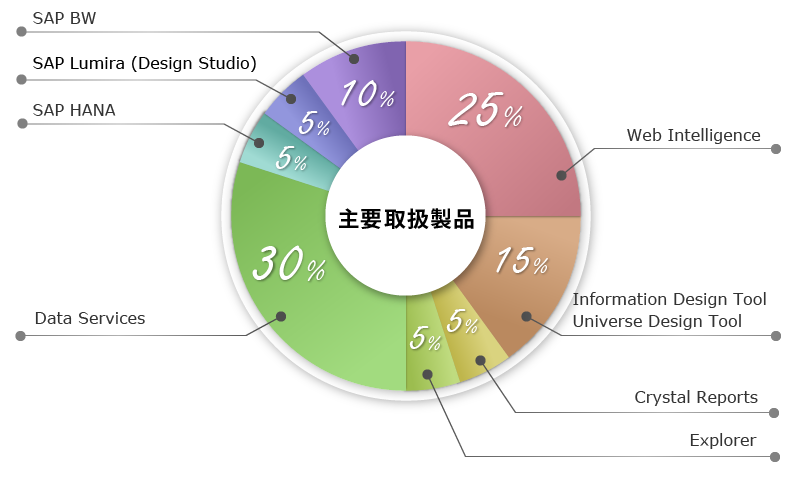BIソリューションの主要取扱製品